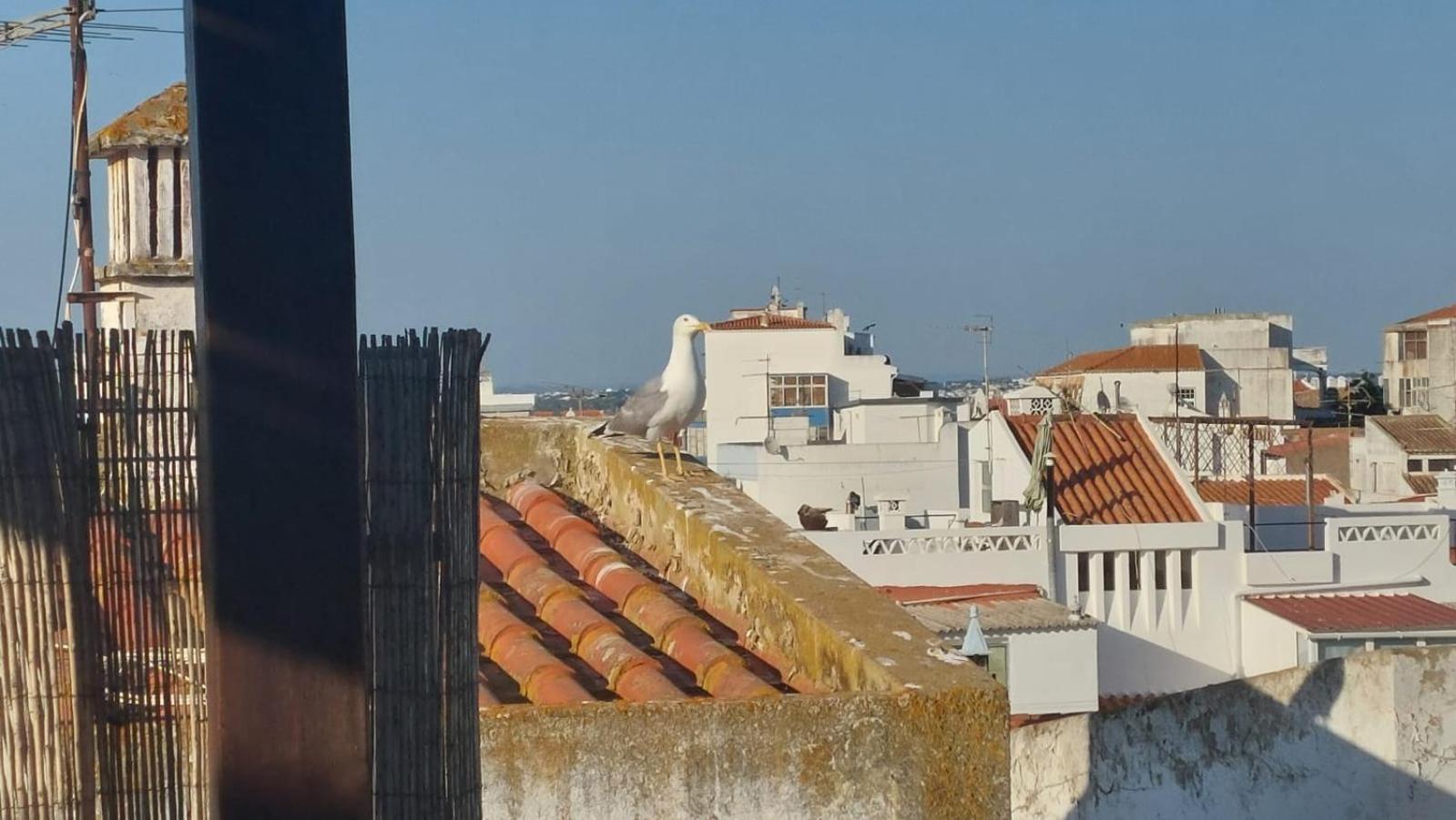 O Pescador Apartment Lagos Exterior photo
